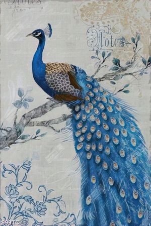 Tranh chim công in canvas đẹp