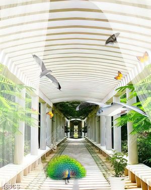 Tranh dán tường hành lang trắng và chim công