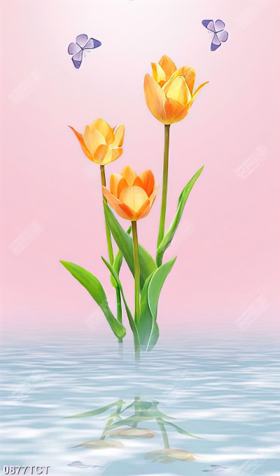 Tranh hoa tulip và nước