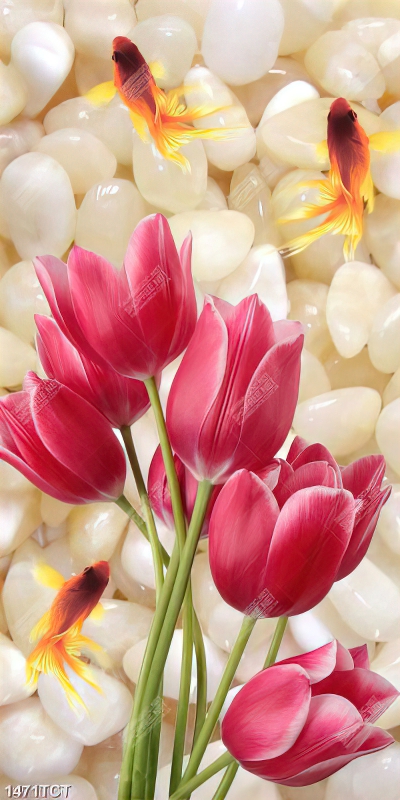 Tranh hoa tulip nền sỏi