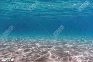 Tranh mặt nước gợn sóng dưới đáy đại dương