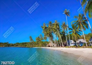 Tranh hàng dừa xanh trên biển đảo file gốc