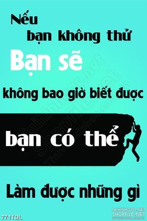 Tranh động lực chấp nhận mọi thử thách in tường