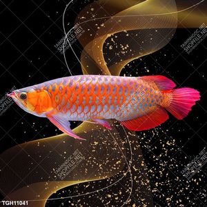 Tranh canvas decor phòng khách đẹp hiện đại