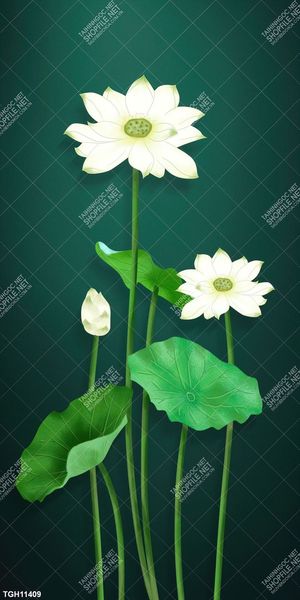 Tranh treo tường trang trí