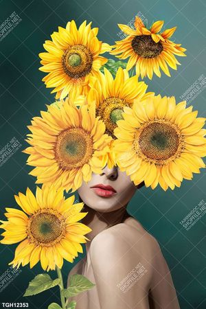 Tranh decor 3D trang trí độc đáo