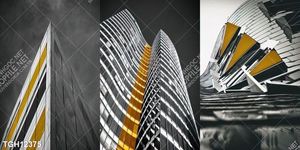 Tranh treo tường trang trí