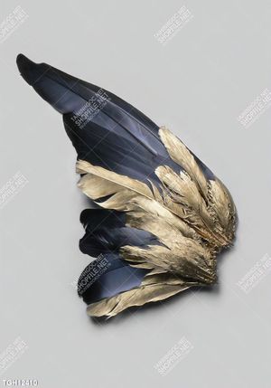 Tranh decor 3D trang trí độc đáo