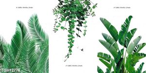  Tranh ghép treo tường mẫu mới nhất