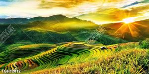 Tranh decor phong cách nội thất tối giản