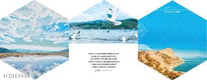 Tranh decor 3D trang trí độc đáo