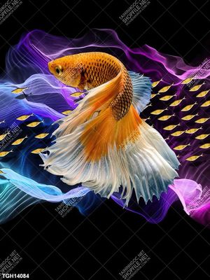 Tranh  decor treo tường nghệ thuật 