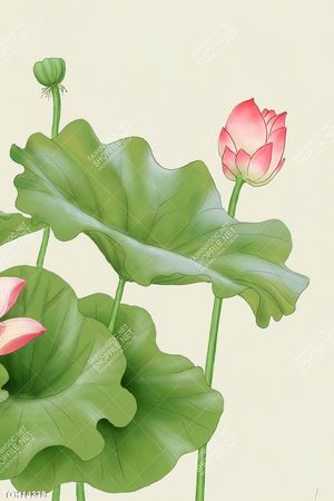 Tranh treo tường ghép bộ hiện đại và đẹp