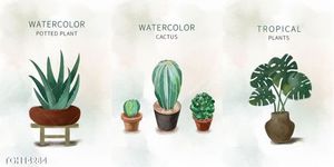 Tranh  decor treo tường nghệ thuật 