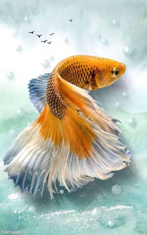 Tranh decor đẹp mắt, độc lạ trang trí cho mọi không gian