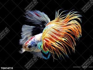 Tranh treo tường 3D đẹp cho phòng khách hiện đại