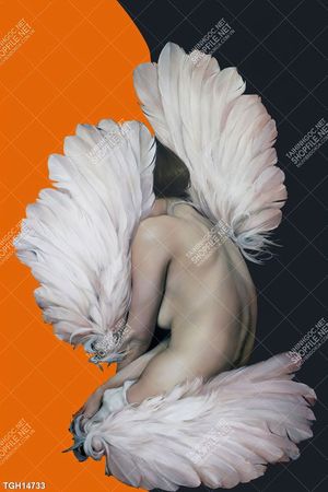 Tranh decor nghệ thuật đẹp