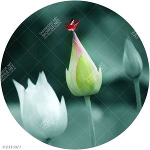 Tranh decor 3D nghệ thuật