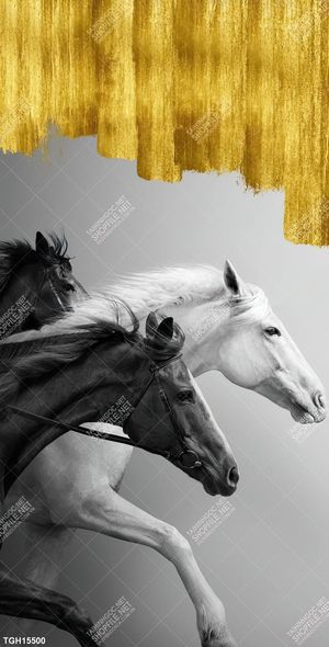 Tranh canvas decor phòng khách đẹp hiện đại