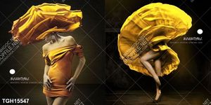 Tranh ghép theo bộ trang trí tường nhà độc đáo