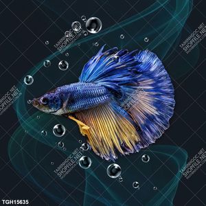 Tranh treo tường ghép chất lượng cao