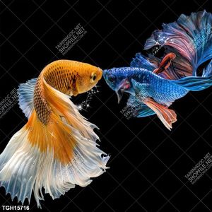 Tranh decor 3D trang trí độc đáo