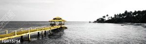 Tranh bộ nghệ thuật đẹp 