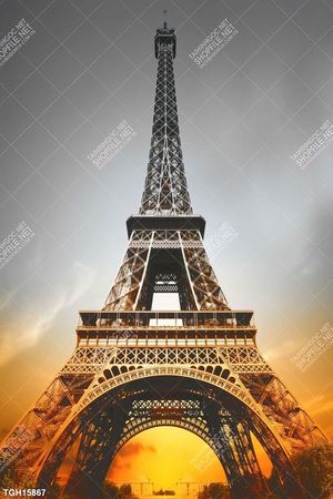 Tranh treo tường trang trí