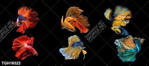 Tranh decor 3D nghệ thuật