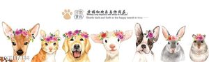 Tranh  decor treo tường nghệ thuật 