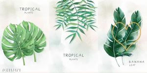Tranh canvas decor phòng khách đẹp hiện đại