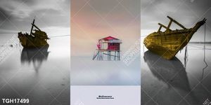 Tranh treo tường trang trí
