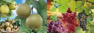 Tranh treo tường phòng khách mẫu mới nhất