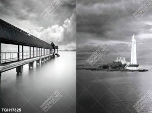 Tranh decor 3D nghệ thuật