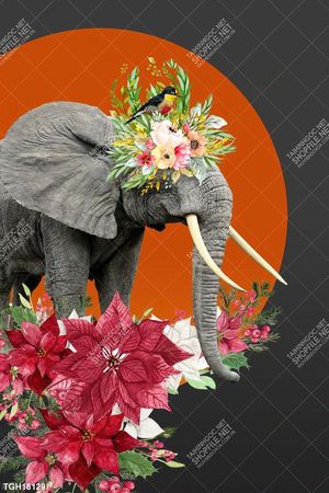 Tranh decor 3D trang trí độc đáo