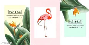 Tranh treo phòng khách đẹp ghép bộ