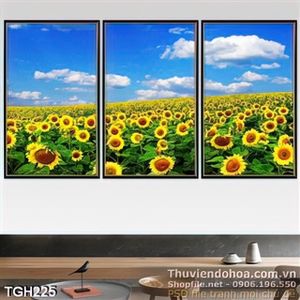 Tranh ghép cánh đồng hoa hướng dương uv