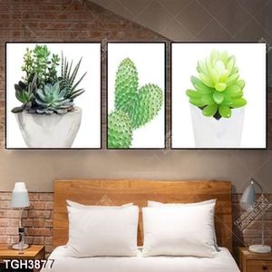 Tranh ghép Sen đá và xương rồng