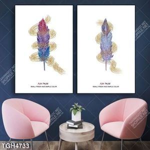 Tranh ghép 2 tấm lông chim