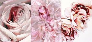 Tranh decor đẹp mắt, độc lạ trang trí cho mọi không gian