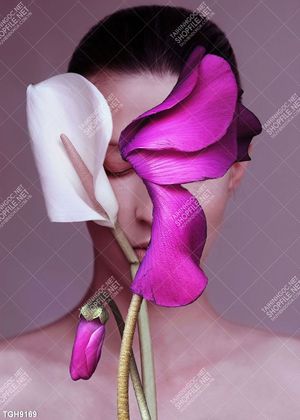 Tranh bộ nghệ thuật đẹp 
