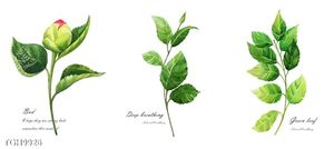 Tranh decor phong cách nội thất tối giản