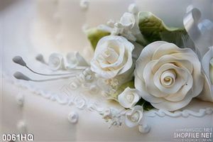 Tranh hoa hồng trắng trang trí tường