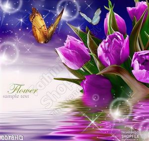 Tranh hoa tulip trang trí đẹp