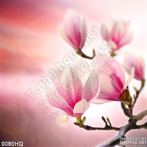 Tranh hoa sứ treo tường phòng khách