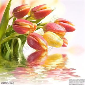 Tranh hoa tulip đẹp