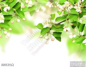 Tranh hoa lá trang trí đẹp