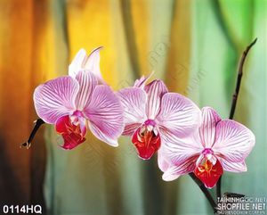 Tranh hoa lá nghệ thuật đẹp
