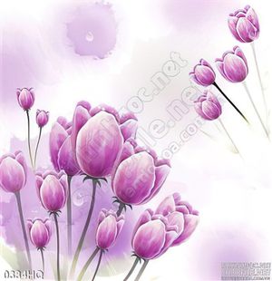 Tranh hoa tulip trang trí phòng ngủ