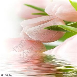 Tranh hoa tulip trang trí tường phòng khách